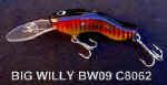 BIG_WILLY_BW09_C8062_small.JPG (5760 bytes)