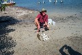 PETER BURROWS